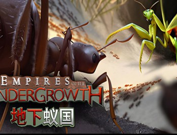 地下蚁国下载，中文汉化电脑版附安装教程