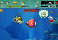 大鱼吃小鱼下载（吞食鱼），经典电脑单机游戏