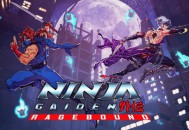 忍者外传：怒之羁绊下载，PC电脑 豪华中文版全DLC附下载地址