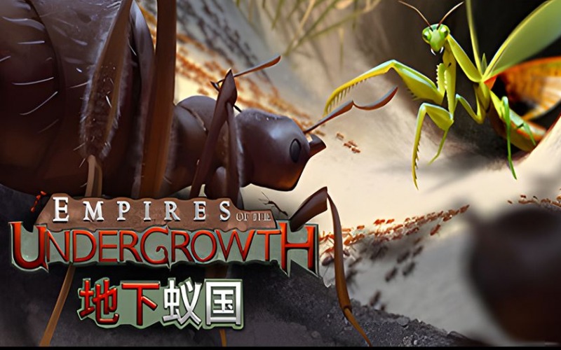 地下蚁国.jpg